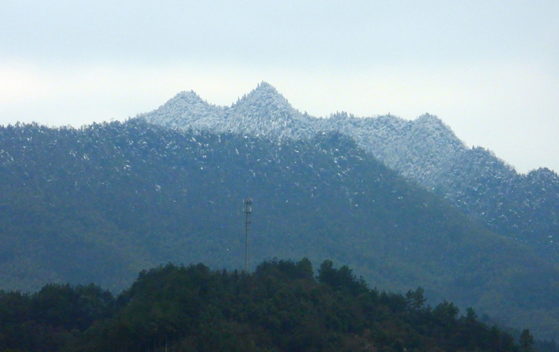 8.近树含春远峰寒.jpg