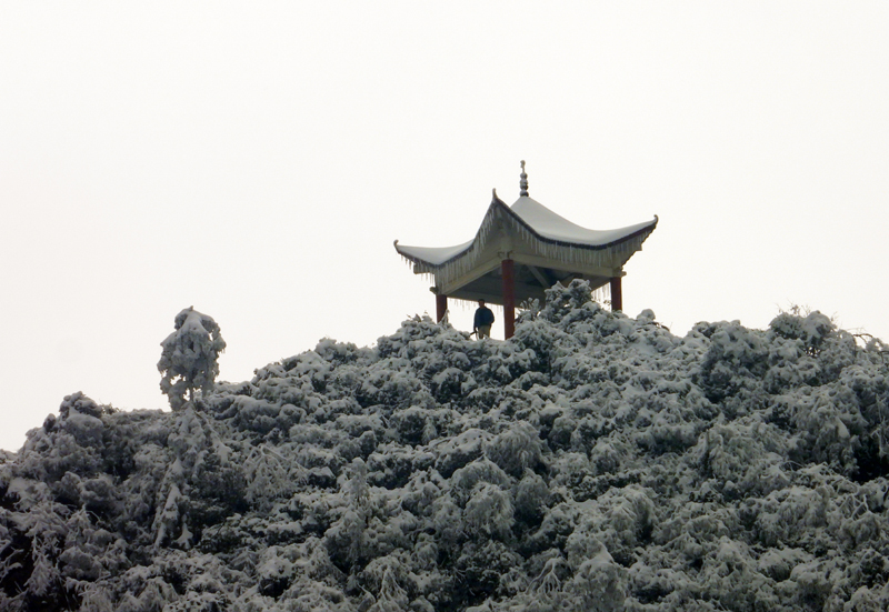 13.不惧峰高觅佳景.jpg