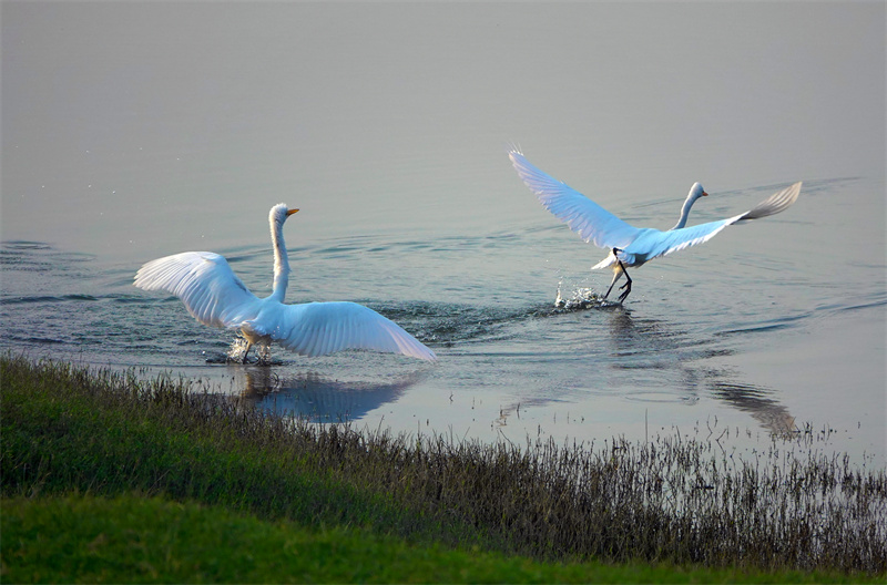 凌波踏浪起舞.jpg