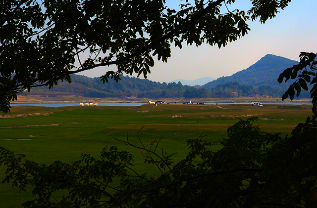 10.美在深山有远亲.jpg
