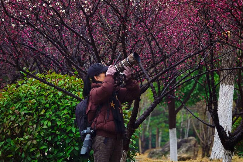 24.且留春意在心间.jpg