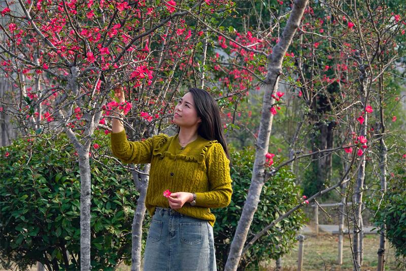 11.红妆翠袖添香处.jpg