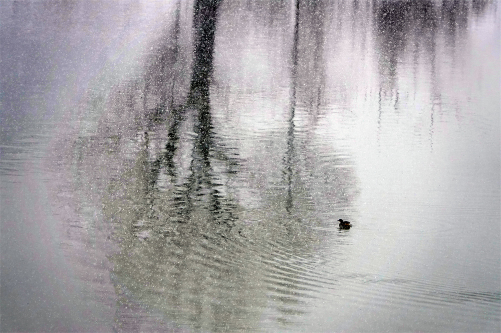 9.水墨迷离.jpg