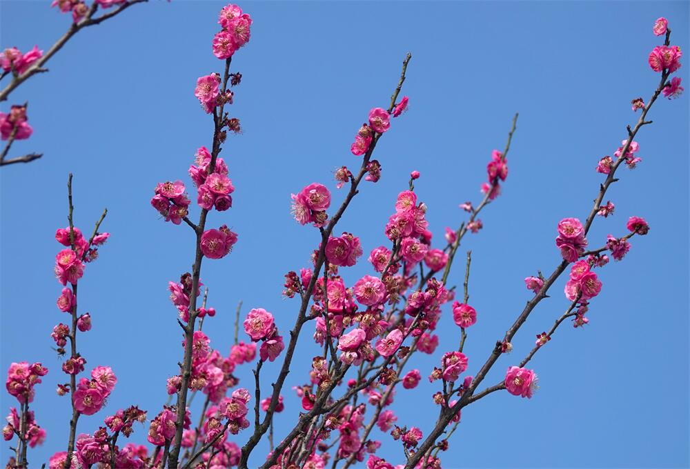 向阳向美 (4).jpg