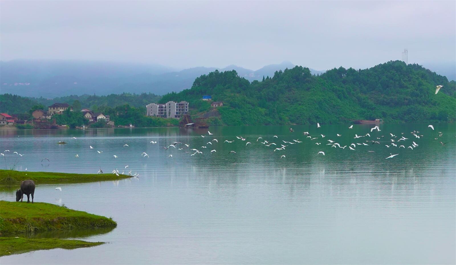 2.鹭舞龙湾.jpg