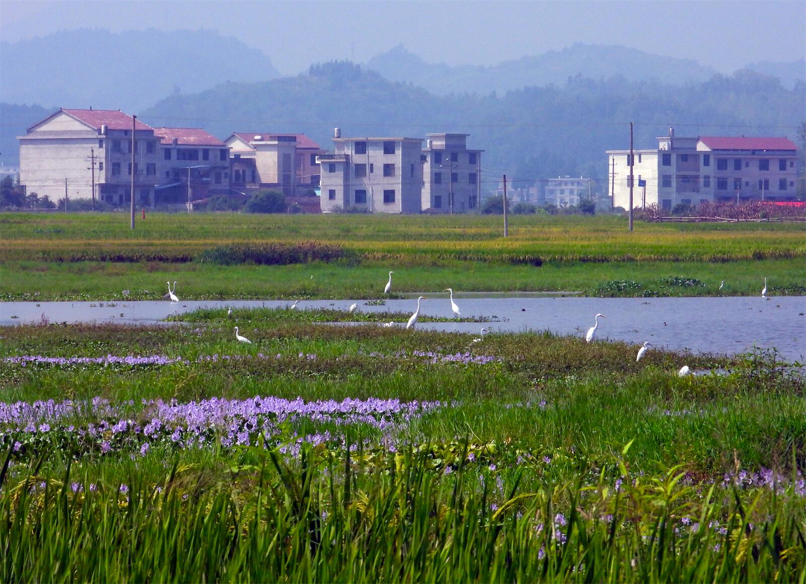 4.家园如画.jpg