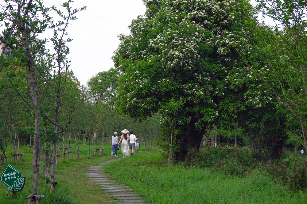 5.绿野仙踪.jpg
