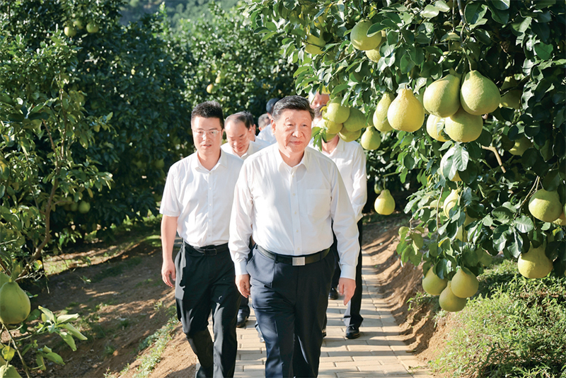 1772355301052.jpg 2025123189d6ae15de5d48039f63ad4888aeda98_20251231893e1e9bd79d4142bbc40370fc2938ae.jpg