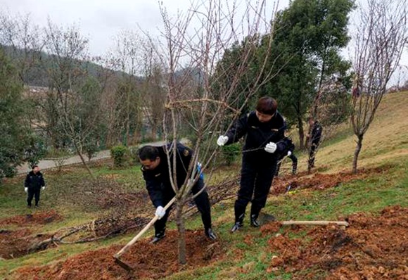 QQ图片20190301170842.jpg QQ图片20190301170842.jpg