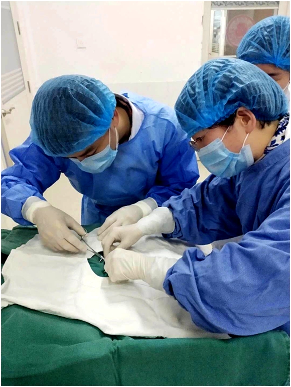 1582980049(5).jpg 1582980049(5).jpg