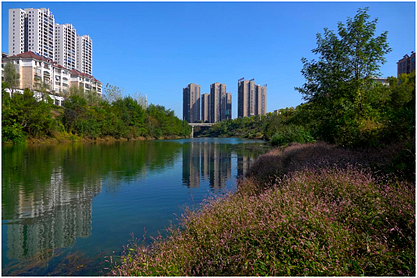 QQ图片20201114122402.png