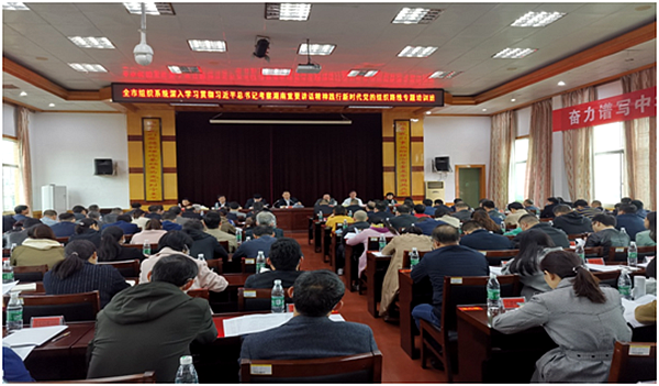 QQ图片20201119001140.png